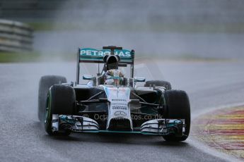 World © Octane Photographic Ltd. Saturday 23rd August 2014, Belgian GP, Spa-Francorchamps. - Formula 1 Qualifying. Mercedes AMG Petronas F1 W05 Hybrid – Lewis Hamilton. Digital Ref: 1084LB1D9699