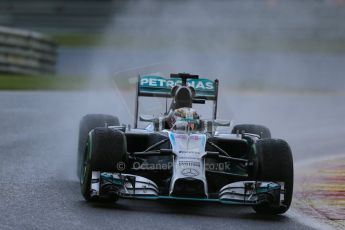 World © Octane Photographic Ltd. Saturday 23rd August 2014, Belgian GP, Spa-Francorchamps. - Formula 1 Qualifying. Mercedes AMG Petronas F1 W05 Hybrid – Lewis Hamilton. Digital Ref: 1084LB1D9848