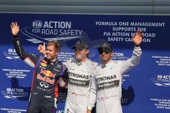 World © Octane Photographic Ltd. Saturday 23rd August 2014, Belgian GP, Spa-Francorchamps. - Formula 1 Qualifying Parc Ferme. Mercedes AMG Petronas – Nico Rosberg and Lewis Hamilton and Infiniti Red Bull Racing - Sebastian Vettel. Digital Ref: 1085LB1D0287