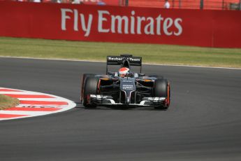 World © Octane Photographic Ltd. Friday 4th July 2014. British GP - Silverstone, UK. - Formula 1 Practice 2. Sauber C33 – Adrian Sutil. Digital Ref: 1013LB1D7989