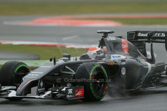 World © Octane Photographic Ltd. Saturday 5th July 2014. British GP, Silverstone, UK - Formula 1 Practice 3. Sauber C33 – Adrian Sutil. Digital Ref: 1017LB1D9257