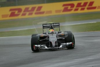 World © Octane Photographic Ltd. Saturday 5th July 2014. British GP, Silverstone, UK - Formula 1 Practice 3. Sauber C33 - Esteban Gutierrez. Digital Ref: 1017LB1D9417