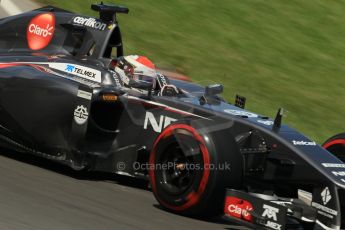 World © Octane Photographic Ltd. Sunday 8th June 2014. Canada - Circuit Gilles Villeneuve, Montreal. Formula 1 Race. Sauber C33 – Adrian Sutil. Digital Ref: 0986LB1D0596