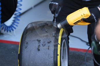 World © Octane Photographic Ltd. Friday 18th July 2014. Post F1 practice 1 pitlane – German GP - Hockenheim. Pirelli tyre inspection. Digital Ref : 1039CB7D4703