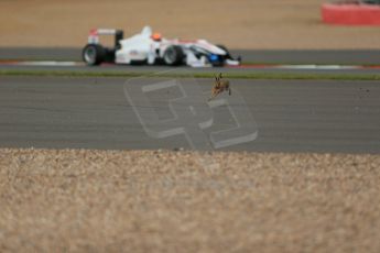 World © Octane Photographic Ltd. FIA European F3 Championship, Silverstone, UK, April 19th 2014 - Race 1. Hare races Threebond with T-Sport – Dallara F312 NBE – Alexander Toril. Digital Ref : 0909lb1d6764