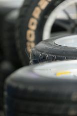 World © Octane Photographic Ltd. Cooper Tyres British Formula 3 Media Day, Castle Donington, Tuesday 8th April 2014. Cooper Tires. Digital Ref : 0903lb1d4163