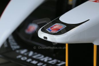 World © Octane Photographic Ltd. FIA Formula E testing – Donington Park 3rd July 2014. Spark-Renault SRT_01E. Andretti Autosport. Digital Ref : 1005LB1D6198