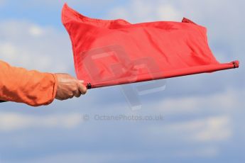 World © Octane Photographic Ltd. FIA Formula E testing – Donington Park 19th August 2014. Spark-Renault SRT_01E. Red Flag. Digital Ref : 1077LB1D5966