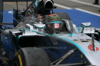 World © Octane Photographic Ltd. Sunday 20th July 2014. German GP, Hockenheim. - Formula 1 Parc Ferme. Mercedes AMG Petronas F1 W05 Hybrid - Nico Rosberg. Digital Ref: 1052LB1D8668