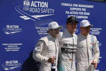 World © Octane Photographic Ltd. Saturday 19th July 2014. German GP, Hockenheim. - Formula 1 Qualifying photo call. Mercedes AMG Petronas F1 W05 Hybrid - Nico Rosberg and Williams Martini Racing FW36 – Felipe Massa and Valtteri Bottas. Digital Ref: 1046LB1D7296