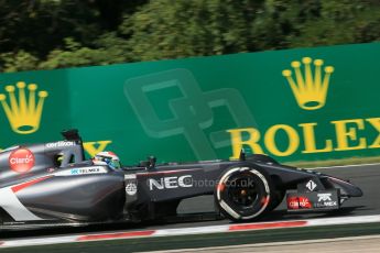 World © Octane Photographic Ltd. Friday 25th July 2014. Hungarian GP, Hungaroring - Budapest. - Formula 1 Practice 1. Sauber C33 – Adrian Sutil. Digital Ref: