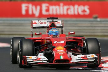 World © Octane Photographic Ltd. 2014 Friday 25th July 2014. Hungarian GP, Hungaroring - Budapest. Practice 2. Scuderia Ferrari F14T - Fernando Alonso. Digital Ref: 1057LB1D0219