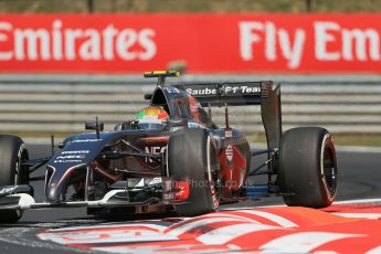 World © Octane Photographic Ltd. Friday 25th July 2014. Hungarian GP, Hungaroring - Budapest. - Formula 1 Practice 2. Sauber C33 – Esteban Gutierrez. Digital Ref : 1057LB1D0249