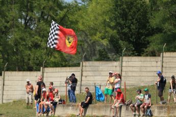 World © Octane Photographic Ltd. Friday 25th July 2014. Hungarian GP, Hungaroring - Budapest. - Formula 1 Practice 2. Ferrari Fans. Digital Ref : 1057LB1D0267