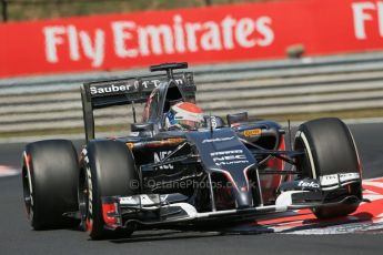 World © Octane Photographic Ltd. 2014 Friday 25th July 2014. Hungarian GP, Hungaroring - Budapest. Practice 2. Sauber C33 – Adrian Sutil. Digital Ref: 1057LB1D0455