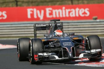 World © Octane Photographic Ltd. 2014 Friday 25th July 2014. Hungarian GP, Hungaroring - Budapest. Practice 2. Sauber C33 – Adrian Sutil. Digital Ref: 1057LB1D0502