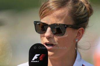 World © Octane Photographic Ltd. Friday 25th July 2014. Hungarian GP, Hungaroring - Budapest. - Formula 1 Practice 2. Williams Martini Racing FW36 – Susie Wolff - Reserve Driver. Digital Ref: 1057LB1D0602