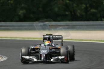 World © Octane Photographic Ltd. Saturday 26th July 2014. Hungarian GP, Hungaroring - Budapest. Practice 3. Sauber C33 – Esteban Gutierrez. Digital Ref : 1064LB1D1742