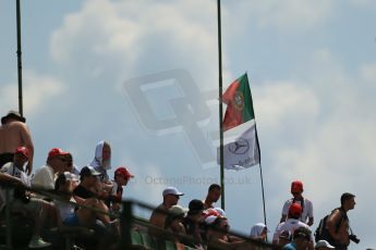 World © Octane Photographic Ltd. Saturday 26th July 2014. Hungarian GP, Hungaroring - Budapest. Practice 3. Mercedes fans . Digital Ref : 1064LB1D1776