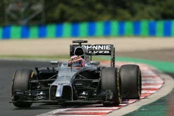 World © Octane Photographic Ltd. Saturday 26th July 2014. Hungarian GP, Hungaroring - Budapest. Practice 3. McLaren Mercedes MP4/29 - Jenson Button. Digital Ref: 1064LB1D1831