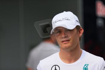 World © Octane Photographic Ltd. Sunday 27th July 2014. Hungarian GP, Hungaroring - Budapest. Mercedes AMG Petronas F1 W05 Hybrid - Nico Rosberg. Digital Ref: 1072LB1D3062