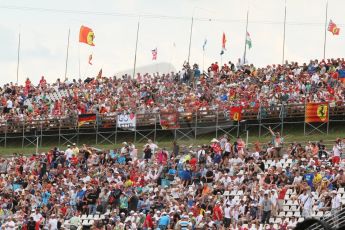 World © Octane Photographic Ltd. Saturday 26th July 2014. Hungarian GP, Hungaroring - Budapest. Qualifying. Fans. Digital Ref: 1065CB7D7818