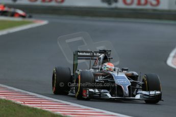 World © Octane Photographic Ltd. Saturday 26th July 2014. Hungarian GP, Hungaroring - Budapest. Qualifying. Sauber C33 – Adrian Sutil. Digital Ref: 1065LB1D2103