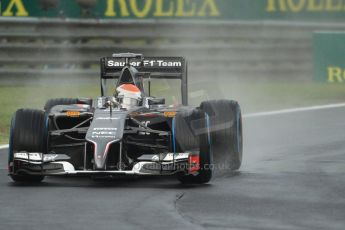 World © Octane Photographic Ltd. Sunday 27th July 2014. Hungarian GP, Hungaroring - Budapest. Race. Sauber C33 – Adrian Sutil. Digital Ref: 1073CB7D6873