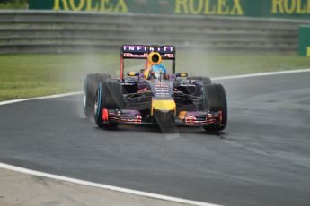 World © Octane Photographic Ltd. Sunday 27th July 2014. Hungarian GP, Hungaroring - Budapest. Formula 1 Race. Infiniti Red Bull Racing RB10 - Sebastian Vettel. Digital Ref: 1073CB7D6896