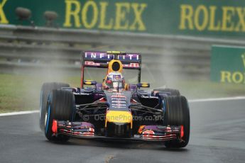 World © Octane Photographic Ltd. Sunday 27th July 2014. Hungarian GP, Hungaroring - Budapest. Race. Infiniti Red Bull Racing RB10 – Daniel Ricciardo. Digital Ref: 1073CB7D6932