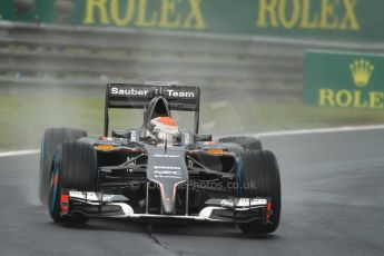World © Octane Photographic Ltd. Sunday 27th July 2014. Hungarian GP, Hungaroring - Budapest. Race. Sauber C33 – Adrian Sutil. Digital Ref: 1073CB7D6978