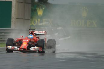 World © Octane Photographic Ltd. Sunday 27th July 2014. Hungarian GP, Hungaroring - Budapest. Race. Scuderia Ferrari F14T - Fernando Alonso. Digital Ref: 1073CB7D6990