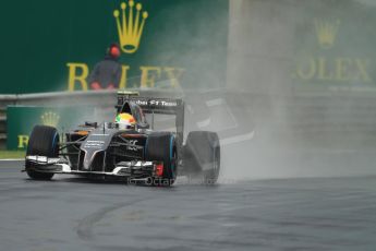 World © Octane Photographic Ltd. Sunday 27th July 2014. Hungarian GP, Hungaroring - Budapest. Race. Sauber C33 – Esteban Gutierrez. Digital Ref : 1073CB7D7020
