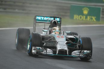 World © Octane Photographic Ltd. Sunday 27th July 2014. Hungarian GP, Hungaroring - Budapest. Race. Mercedes AMG Petronas F1 W05 Hybrid – Lewis Hamilton. Digital Ref: 1073CB7D7071