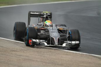 World © Octane Photographic Ltd. Sunday 27th July 2014. Hungarian GP, Hungaroring - Budapest. Race. Sauber C33 – Esteban Gutierrez. Digital Ref : 1073CB7D7157