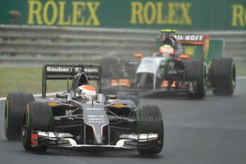 World © Octane Photographic Ltd. Sunday 27th July 2014. Hungarian GP, Hungaroring - Budapest. Race. Sauber C33 – Adrian Sutil. Digital Ref: 1073CB7D7213