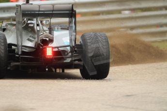 World © Octane Photographic Ltd. Sunday 27th July 2014. Hungarian GP, Hungaroring - Budapest. Race. Mercedes AMG Petronas F1 W05 Hybrid – Lewis Hamilton. Digital Ref: 1073CB7D7285
