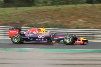 World © Octane Photographic Ltd. Sunday 27th July 2014. Hungarian GP, Hungaroring - Budapest. Race. Infiniti Red Bull Racing RB10 – Daniel Ricciardo. Digital Ref: 1073CB7D8474