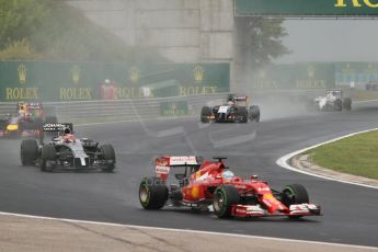 World © Octane Photographic Ltd. Sunday 27th July 2014. Hungarian GP, Hungaroring - Budapest. Race. McLaren Mercedes MP4/29 - Jenson Button. Digital Ref: 1073CB7D8527