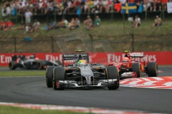 World © Octane Photographic Ltd. Sunday 27th July 2014. Hungarian GP, Hungaroring - Budapest. Race. Sauber C33 – Esteban Gutierrez. Digital Ref : 1073LB1D4226