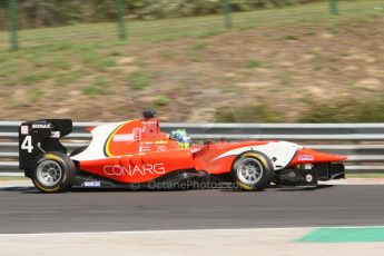 World © Octane Photographic Ltd. Saturday 26th July 2014. GP3 Qualifying. Hungarian GP, Hungaroring - Budapest. Robert Visoiu - Arden International. Digital Ref : 1063CB7D7531