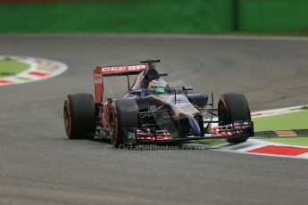 World © Octane Photographic Ltd. Friday 5th September 2014, Italian GP, Monza - Italy - Formula 1 Practice 1. Scuderia Toro Rosso STR9 - Jean-Eric Vergne. Digital Ref: 1094LB1D3214