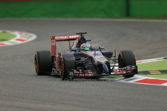 World © Octane Photographic Ltd. Friday 5th September 2014, Italian GP, Monza - Italy  - Formula 1 Practice 1. Scuderia Toro Rosso STR9 - Jean-Eric Vergne. Digital Ref: 1094LB1D3214