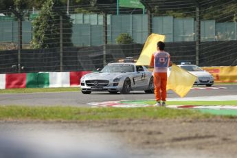 World © Octane Photographic Ltd. Friday 3rd October 2014, Japanese Grand Prix - Suzuka. - Formula 1 Practice 2. Flag Marshal. Digital Ref :