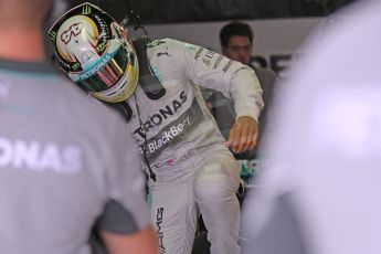 World © Octane Photographic Ltd. Saturday 4th October 2014, Japanese Grand Prix - Suzuka. - Formula 1 Practice 3. Mercedes AMG Petronas F1 W05 Hybrid – Lewis Hamilton. Digital Ref: