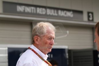 World © Octane Photographic Ltd. Saturday 4th October 2014, Japanese Grand Prix - Suzuka. Formula 1 Practice 3. Infiniti Red Bull Racing - Helmut Marko. Digital Ref:
