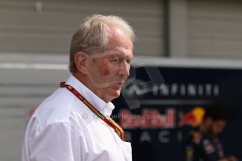 World © Octane Photographic Ltd. Saturday 4th October 2014, Japanese Grand Prix - Suzuka. Formula 1 Practice 3. Infiniti Red Bull Racing - Helmut Marko. Digital Ref: