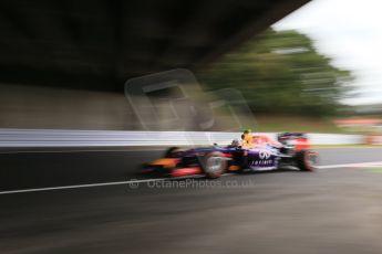 World © Octane Photographic Ltd. Saturday 4th October 2014, Japanese Grand Prix - Suzuka. - Formula 1 Practice 3. Infiniti Red Bull Racing RB10 – Daniel Ricciardo. Digital Ref: