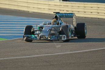 World © Octane Photographic Ltd. 2014 Formula 1 Winter Testing, Circuito de Velocidad, Jerez. Tuesday 28th January 2014. Day 1. Mercedes AMG Petronas F1 W05 – Lewis Hamilton. Digital Ref: 0882cb1d9309