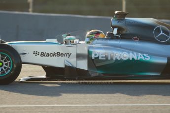 World © Octane Photographic Ltd. 2014 Formula 1 Winter Testing, Circuito de Velocidad, Jerez. Tuesday 28th January 2014. Day 1. Mercedes AMG Petronas F1 W05 – Lewis Hamilton. Digital Ref: 0882cb1d9317